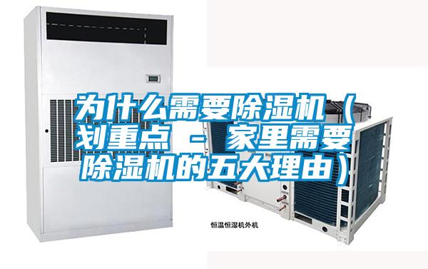 為什么需要除濕機(劃重點 - 家里需要除濕機的五大理由)