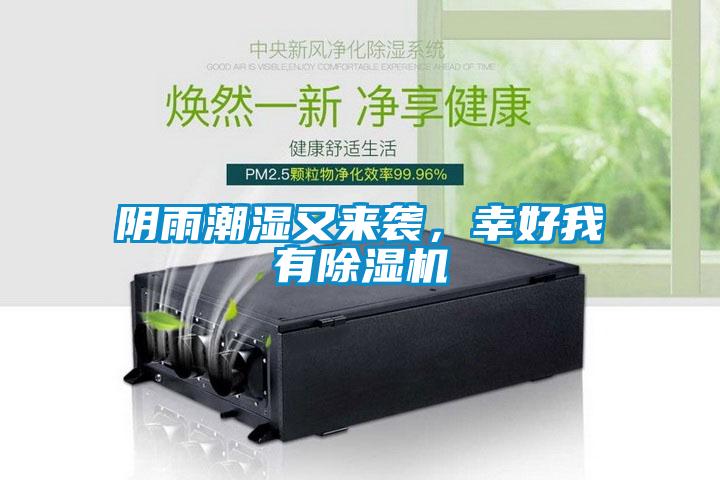 陰雨潮濕又來襲，幸好我有除濕機