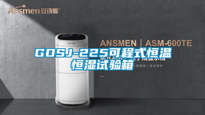 GDSJ-225可程式恒溫恒濕試驗(yàn)箱