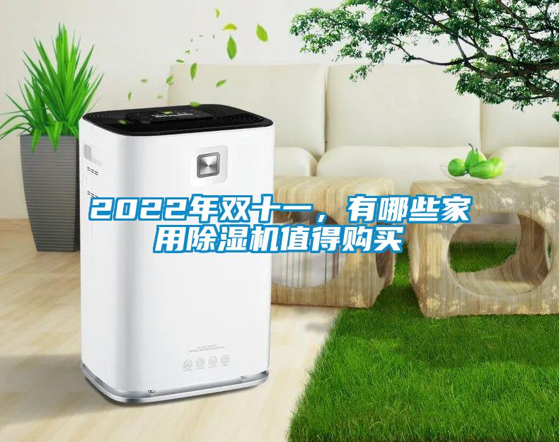 2022年雙十一，有哪些家用除濕機(jī)值得購(gòu)買