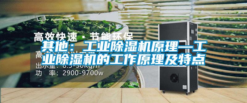 其他：工業除濕機原理—工業除濕機的工作原理及特點
