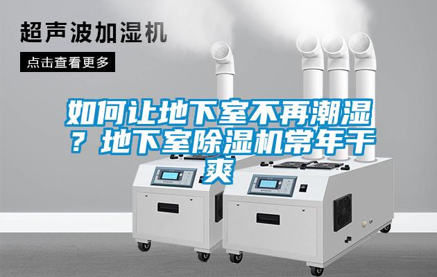如何讓地下室不再潮濕？地下室除濕機常年干爽
