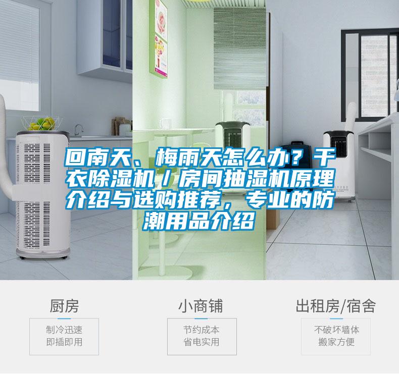 回南天、梅雨天怎么辦？干衣除濕機／房間抽濕機原理介紹與選購推薦，專業的防潮用品介紹