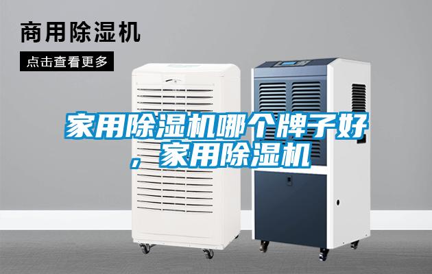 家用除濕機(jī)哪個(gè)牌子好，家用除濕機(jī)