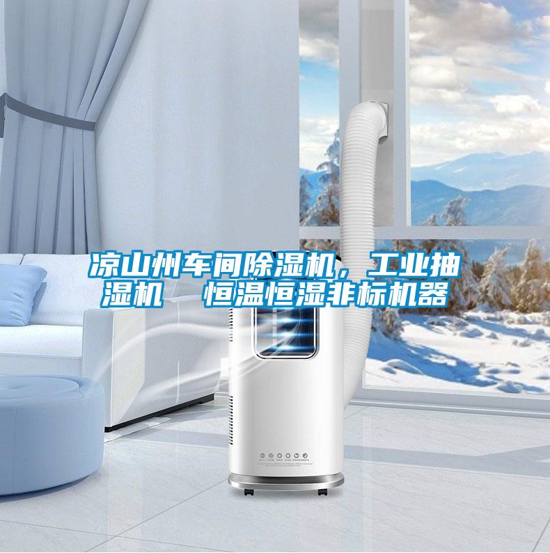 涼山州車間除濕機，工業(yè)抽濕機  恒溫恒濕非標機器