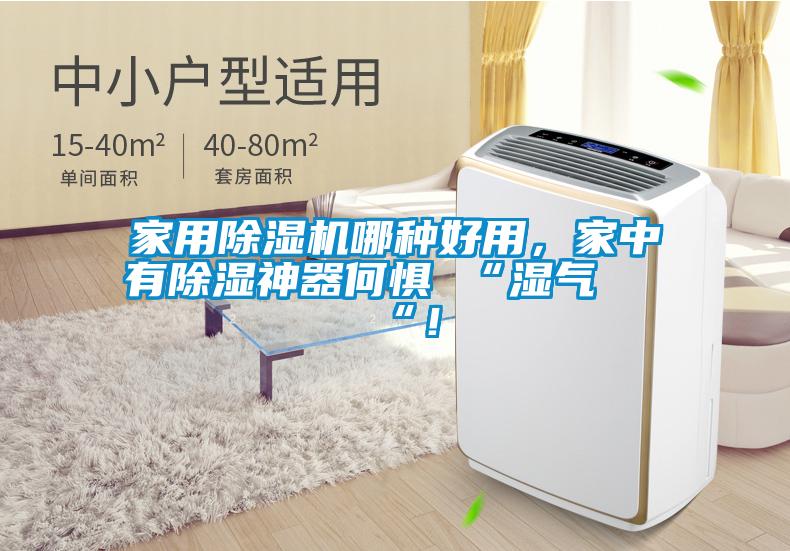 家用除濕機哪種好用，家中有除濕神器何懼 “濕氣 “！