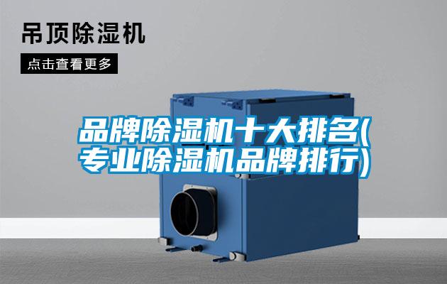 品牌除濕機(jī)十大排名(專業(yè)除濕機(jī)品牌排行)