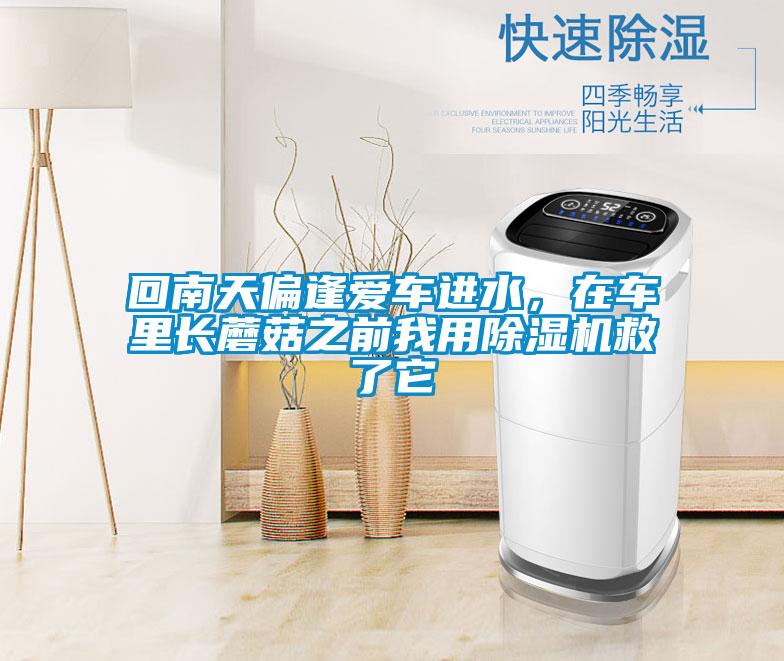 回南天偏逢愛(ài)車進(jìn)水，在車?yán)镩L(zhǎng)蘑菇之前我用除濕機(jī)救了它