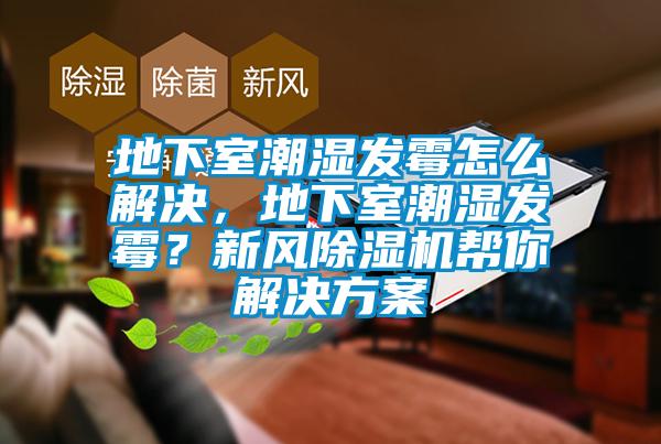 地下室潮濕發霉怎么解決，地下室潮濕發霉？新風除濕機幫你解決方案