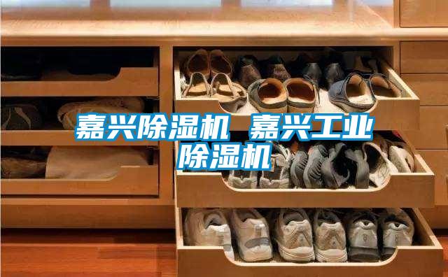 嘉興除濕機 嘉興工業除濕機