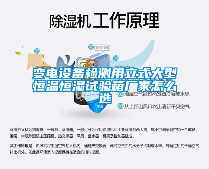 變電設(shè)備檢測用立式大型恒溫恒濕試驗箱廠家怎么選
