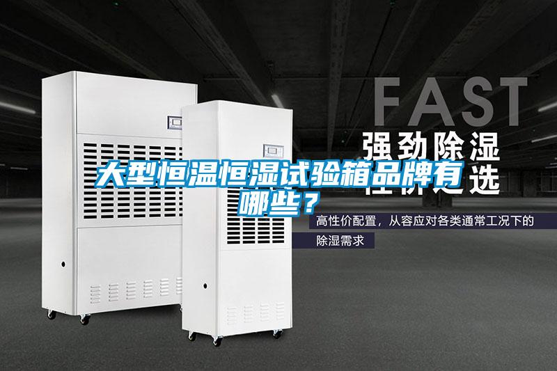 大型恒溫恒濕試驗箱品牌有哪些？