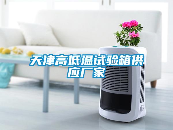 天津高低溫試驗箱供應(yīng)廠家