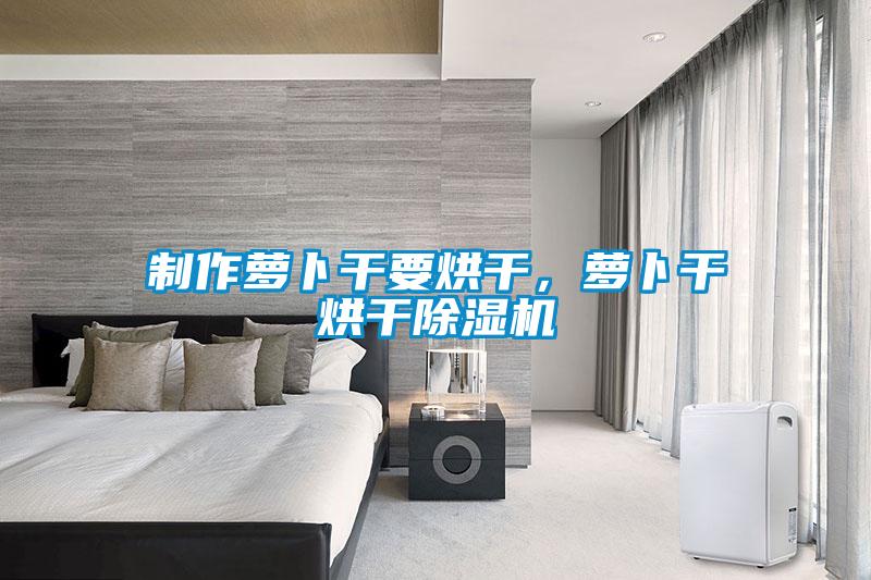 制作蘿卜干要烘干，蘿卜干烘干除濕機