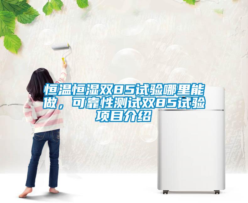 恒溫恒濕雙85試驗(yàn)?zāi)睦锬茏?，可靠性測(cè)試雙85試驗(yàn)項(xiàng)目介紹