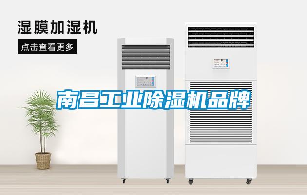 南昌工業(yè)除濕機(jī)品牌