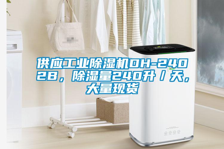 供應(yīng)工業(yè)除濕機(jī)DH-2402B，除濕量240升／天，大量現(xiàn)貨