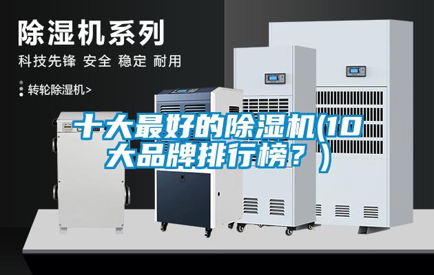 十大最好的除濕機(10大品牌排行榜？)