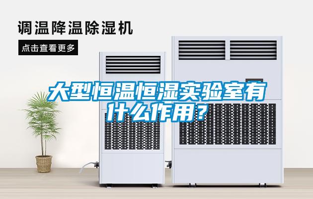 大型恒溫恒濕實(shí)驗(yàn)室有什么作用？