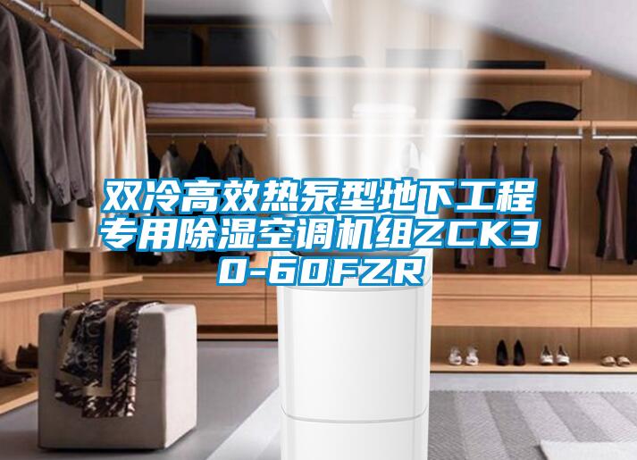 雙冷高效熱泵型地下工程專(zhuān)用除濕空調(diào)機(jī)組ZCK30-60FZR
