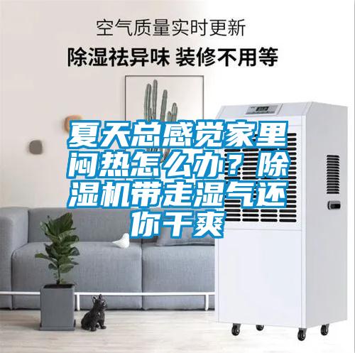 夏天總感覺家里悶熱怎么辦？除濕機(jī)帶走濕氣還你干爽