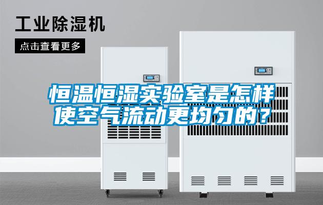 恒溫恒濕實驗室是怎樣使空氣流動更均勻的？