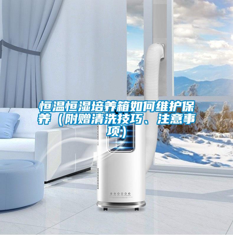 恒溫恒濕培養箱如何維護保養（附贈清洗技巧、注意事項）
