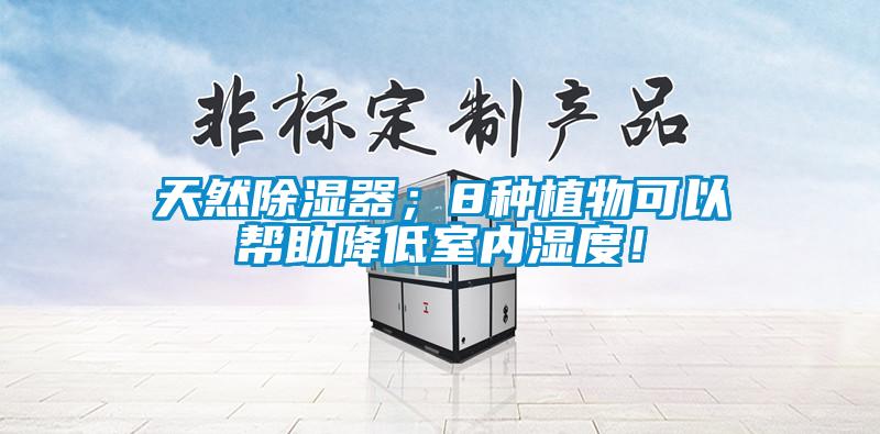 天然除濕器；8種植物可以幫助降低室內濕度！