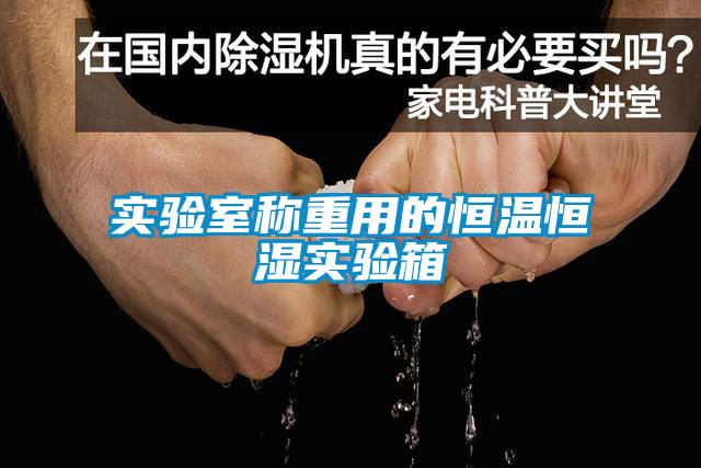 實(shí)驗(yàn)室稱(chēng)重用的恒溫恒濕實(shí)驗(yàn)箱