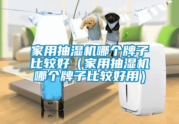 家用抽濕機(jī)哪個(gè)牌子比較好（家用抽濕機(jī)哪個(gè)牌子比較好用）