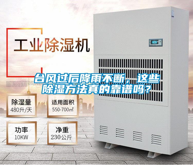 臺風過后降雨不斷，這些除濕方法真的靠譜嗎？