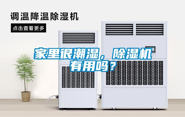 家里很潮濕，除濕機有用嗎？