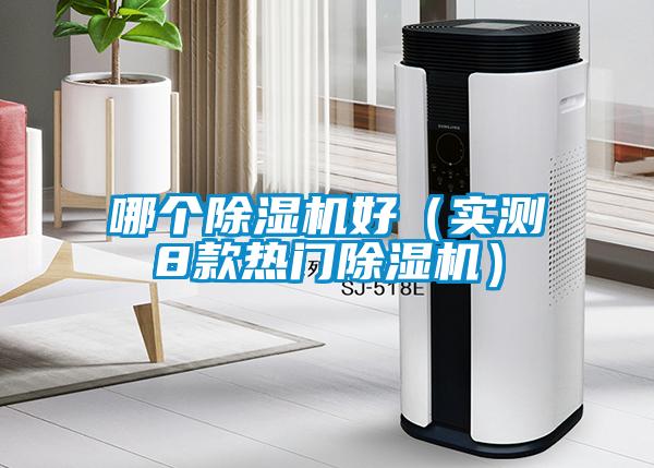 哪個(gè)除濕機(jī)好（實(shí)測8款熱門除濕機(jī)）