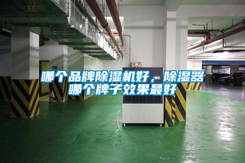 哪個品牌除濕機好，除濕器哪個牌子效果最好