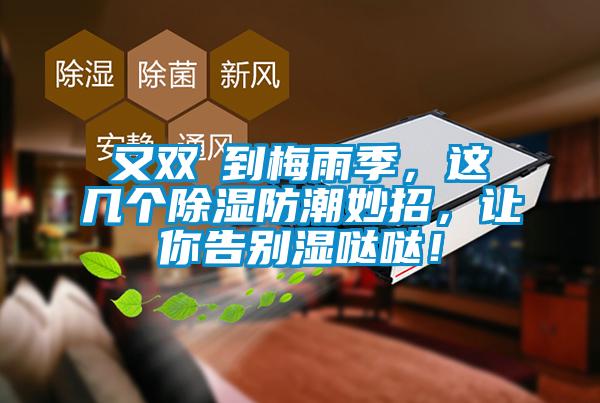 又雙叒到梅雨季，這幾個(gè)除濕防潮妙招，讓你告別濕噠噠！
