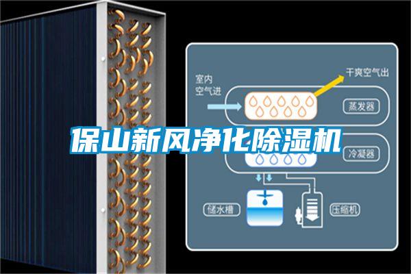 保山新風(fēng)凈化除濕機