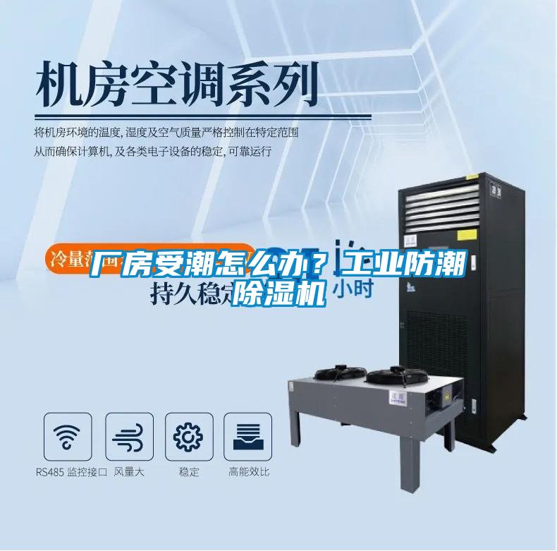 廠房受潮怎么辦？工業防潮除濕機