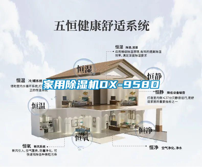 家用除濕機(jī)DX-958D