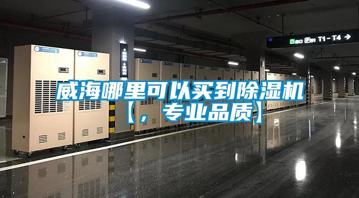 威海哪里可以買到除濕機【，專業(yè)品質】