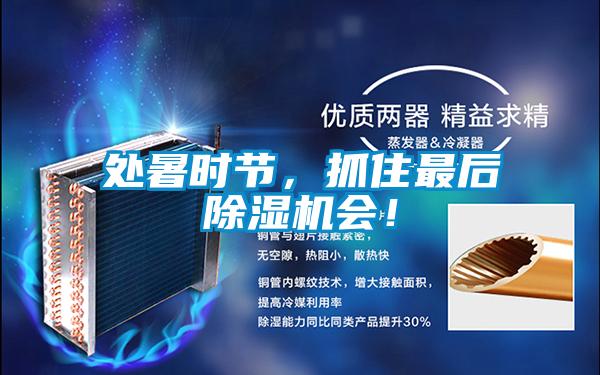 處暑時節，抓住最后除濕機會！