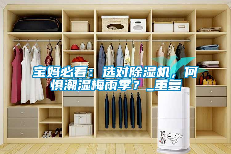 寶媽必看：選對除濕機，何懼潮濕梅雨季？_重復
