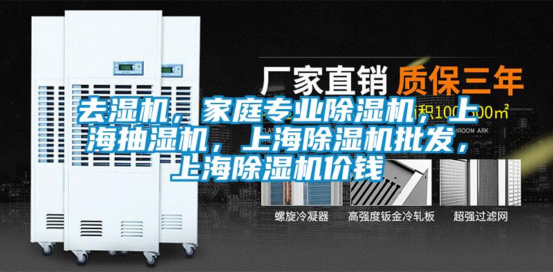 去濕機，家庭專業(yè)除濕機，上海抽濕機，上海除濕機批發(fā)，上海除濕機價錢