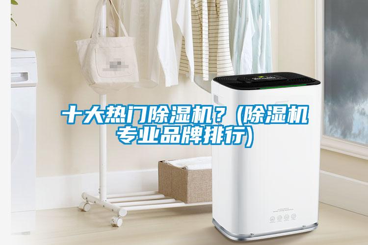 十大熱門除濕機？(除濕機專業(yè)品牌排行)