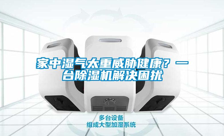 家中濕氣太重威脅健康？一臺除濕機(jī)解決困擾
