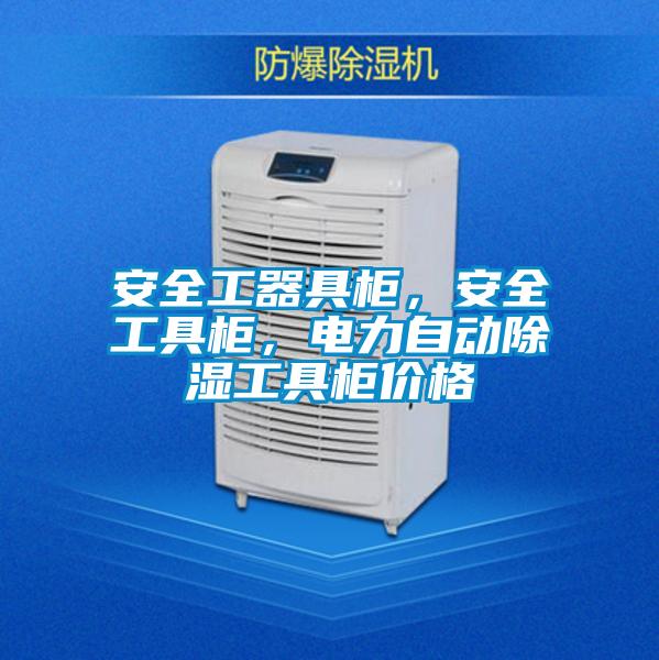 安全工器具柜，安全工具柜，電力自動除濕工具柜價格