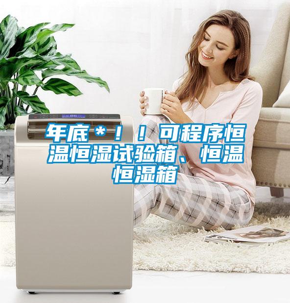 年底＊！！可程序恒溫恒濕試驗(yàn)箱、恒溫恒濕箱