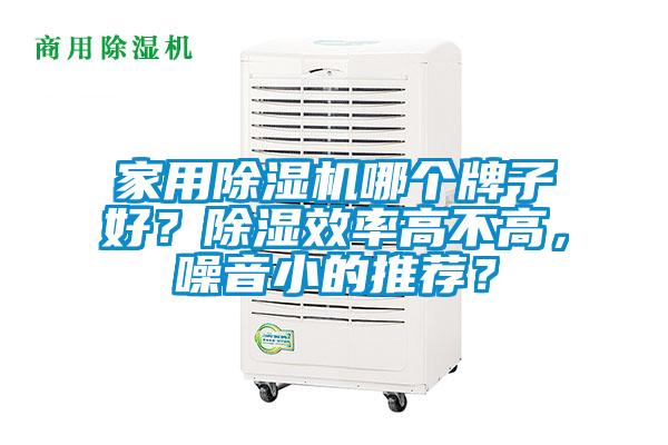 家用除濕機哪個牌子好？除濕效率高不高，噪音小的推薦？