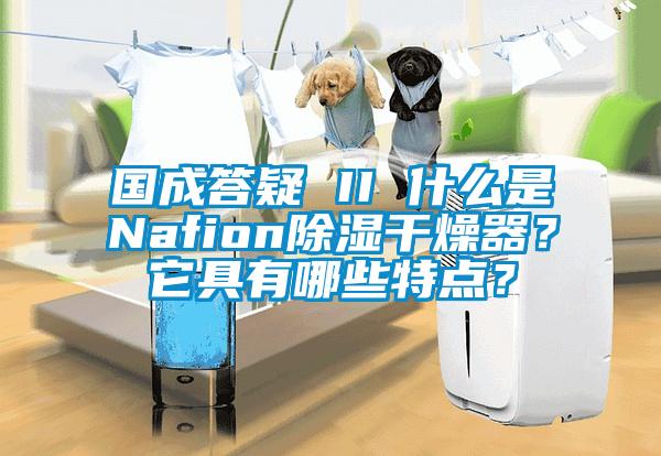 國成答疑 II 什么是Nafion除濕干燥器？它具有哪些特點(diǎn)？