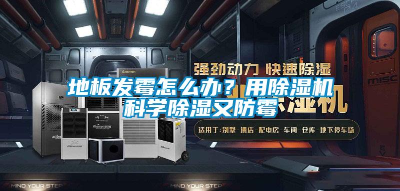 地板發(fā)霉怎么辦？用除濕機(jī)科學(xué)除濕又防霉