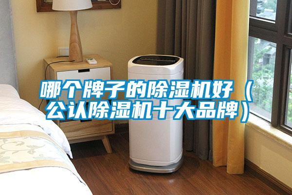 哪個(gè)牌子的除濕機(jī)好（公認(rèn)除濕機(jī)十大品牌）